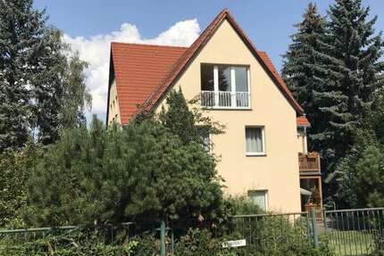 Wohnung Dresden Leubnitz-Neuostra - 1 Zimmer, 36 m&sup2;, 312&euro; | Angebot:26562344