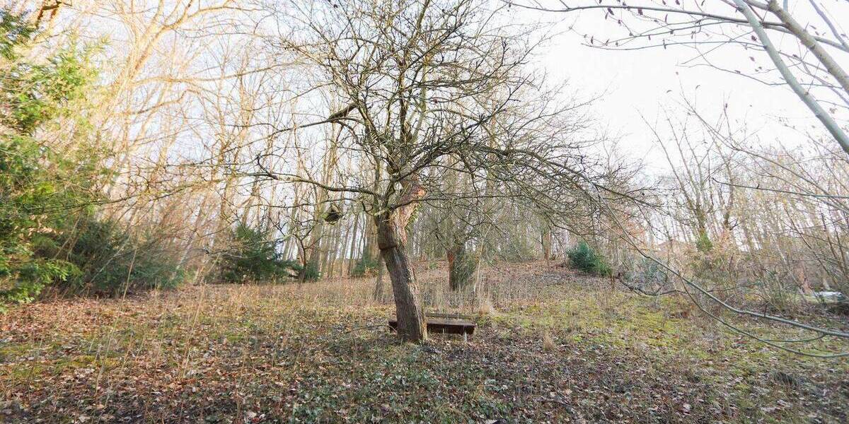 Einfamilienhaus Dresden Cossebaude - 5 Zimmer, 100 m&sup2;, 199.000&euro; | Angebot:26156459