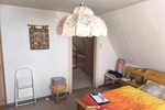 Einfamilienhaus mit ganz viel Potential und XL Grundstück in begehrter und ruhiger Siedlungslage - Einfamilienhaus Weinböhla | Angebot:27156514