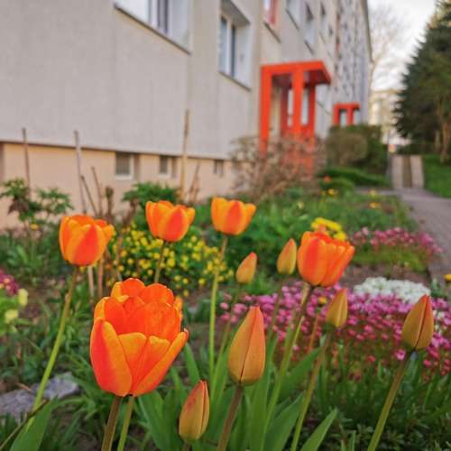 Wohnung zum Mieten in Freiberg 328 € 49 m²