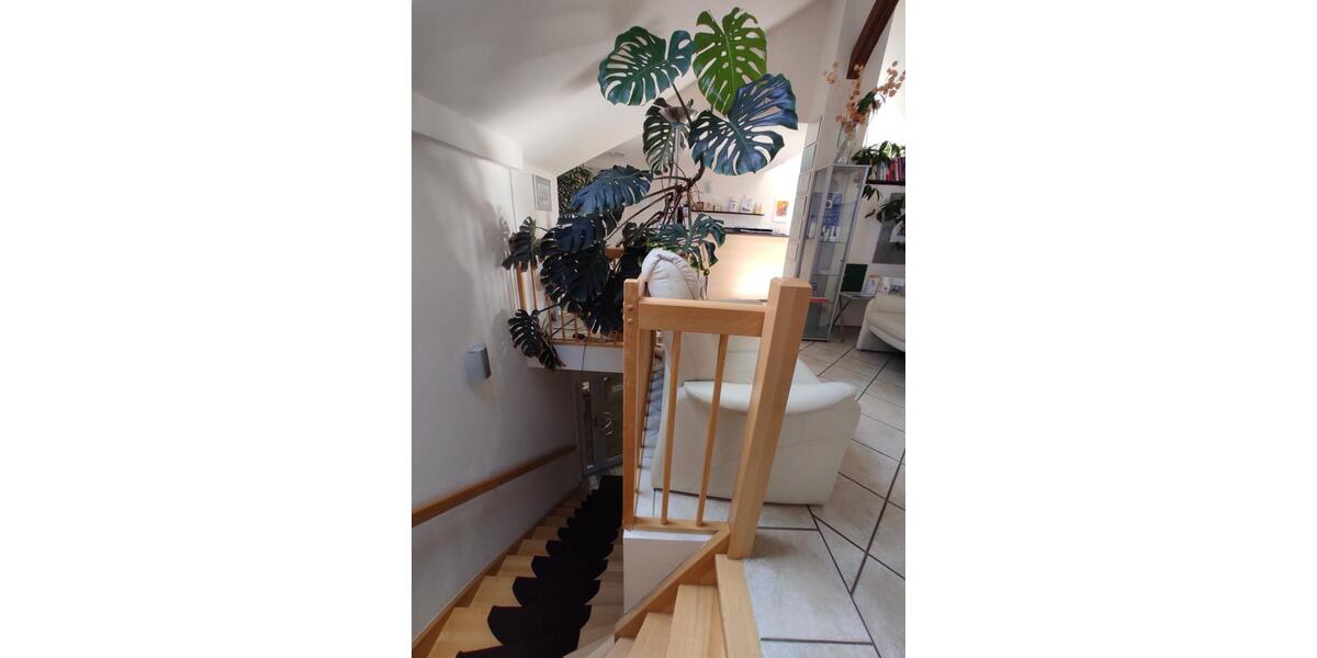 Gewerbeobjekt Dresden Neustadt - 5.000&euro; | Angebot:24835885