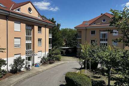 Wohnung Dresden Tolkewitz - 2 Zimmer, 56 m&sup2;, 189.500&euro; | Angebot:25399518