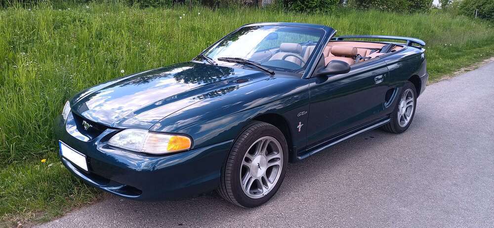 Mustang