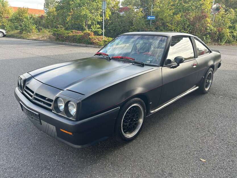 Manta