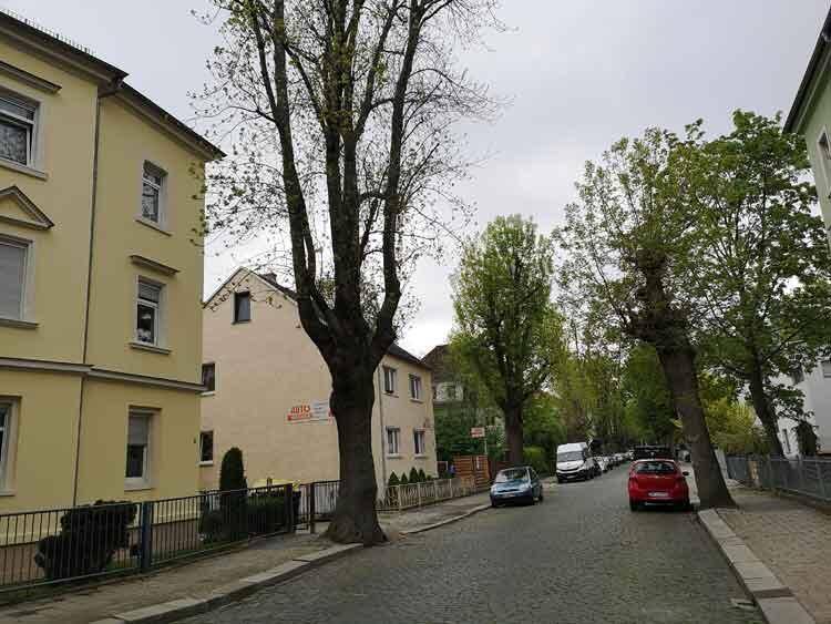 Etagenwohnung Dresden Cotta - 2 Zimmer, 46 m&sup2;, 111.111&euro; | Angebot:26730522