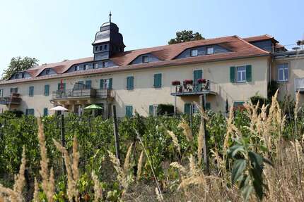 Wohnung zum Mieten in Radebeul 1.260 € 105 m² 4 zimmer