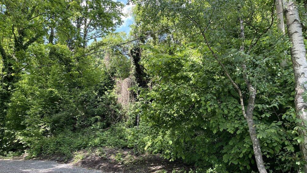 Grundstück Bannewitz Hänichen - 250.000&euro; | Angebot:25837752