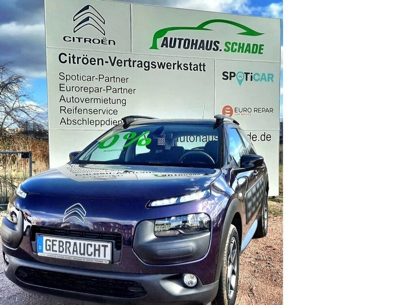 C4 Cactus Feel