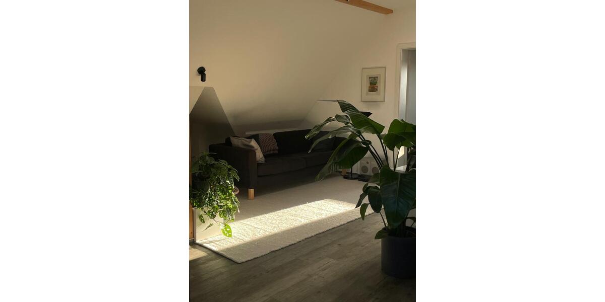 Dachgeschoßwohnung Dresden Blasewitz - 2 Zimmer, 55 m&sup2;, 400&euro; | Angebot:26458394