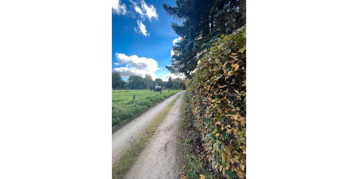 Bungalow Dresden Loschwitz - 3 Zimmer, 60 m&sup2;, 249.000&euro; | Angebot:26374540