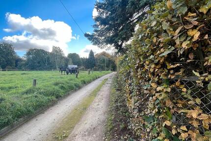 Haus Dresden Loschwitz - 3 Zimmer, 60 m&sup2;, 249.000&euro; | Angebot:26374540