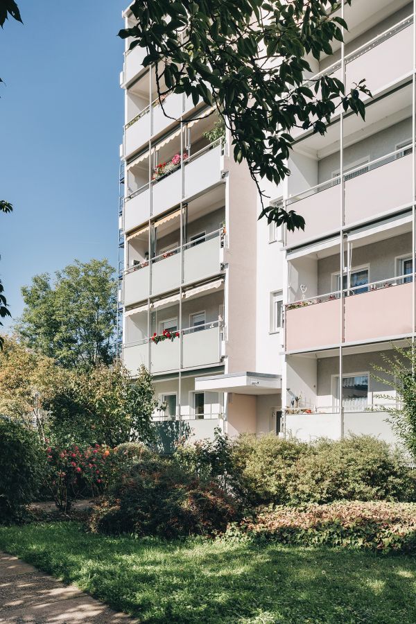 Provisionsfrei* Attraktive 3-Raum-Wohnung in Dresden-Gorbitz, frisch saniert, sofort bezugsfrei 3 zimmer