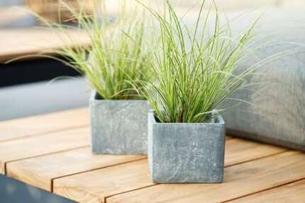 Haus Pirna - 6 Zimmer, 152 m&sup2;, 577.836&euro; | Angebot:25303681