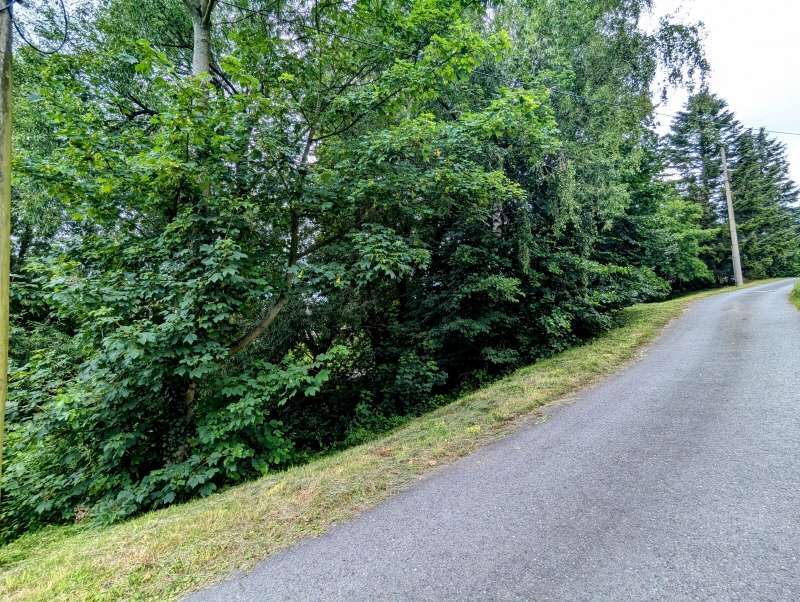 Grundstück zu verkaufen in Bad Gottleuba 54.900 € 1250 m²