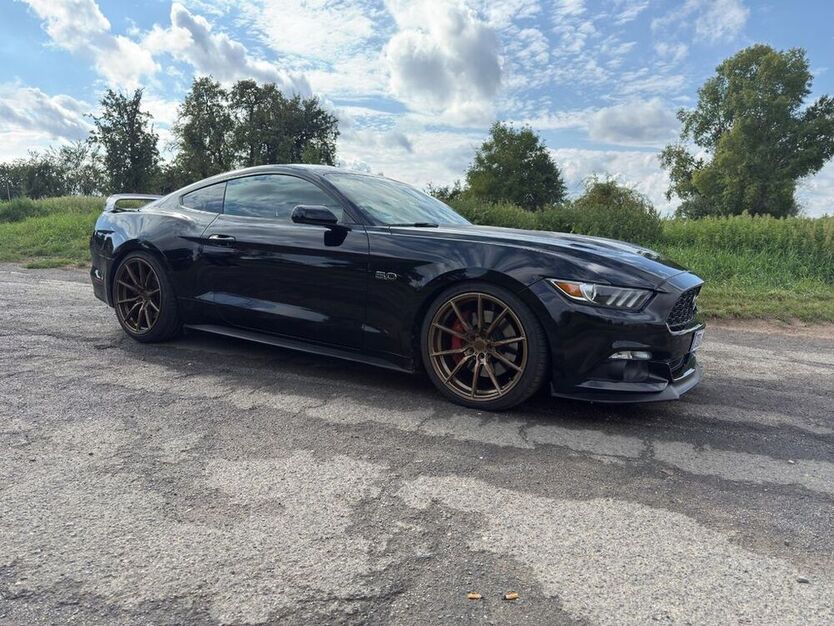 Mustang