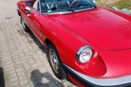 Alfa Romeo Spider