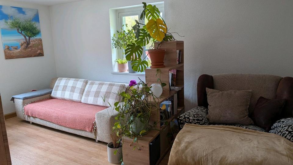 Etagenwohnung Glashütte - 2 Zimmer, 59 m&sup2;, 650&euro; | Angebot:26446781