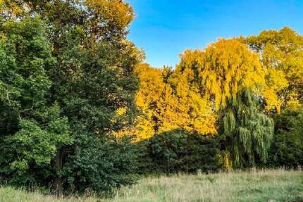 Grundstück Arnsdorf - 180.000&euro; | Angebot:13069742