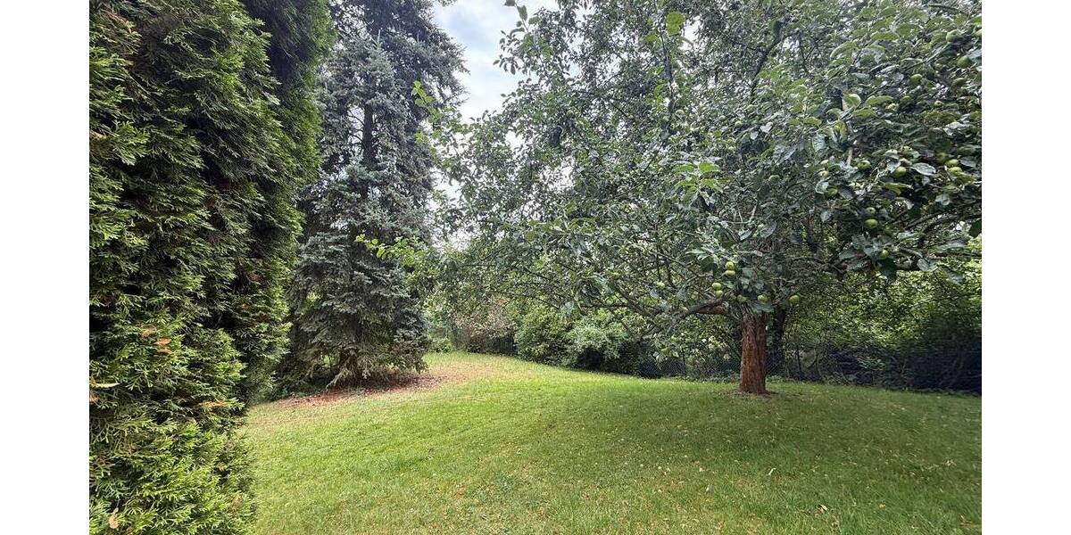 Einfamilienhaus Moritzburg - 1 Zimmer, 338 m&sup2;, 995.000&euro; | Angebot:25777594