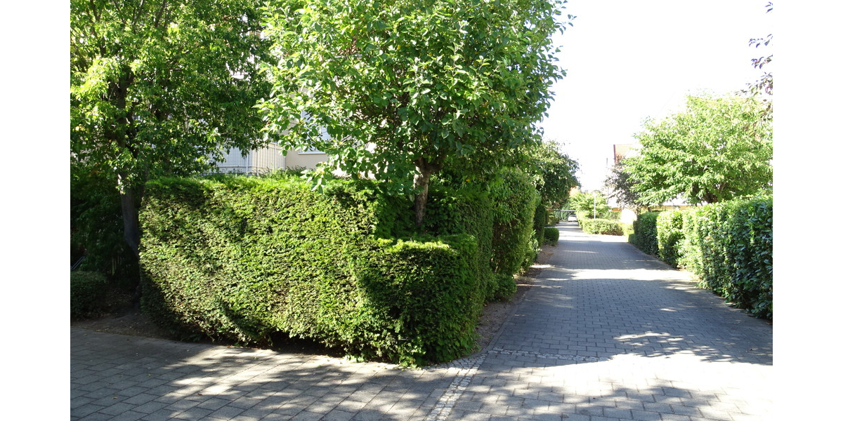 Gemütliche 3-Zimmer-Eigentumswohnung für Ihre Familie oder als Kapitalanlage - Etagenwohnung Coswig | Angebot:22894894