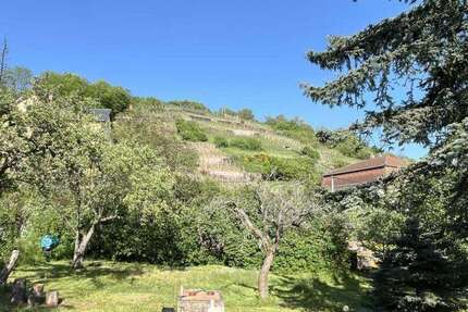 Grundstück zu verkaufen in Radebeul 330.000 € 600 m² zimmer