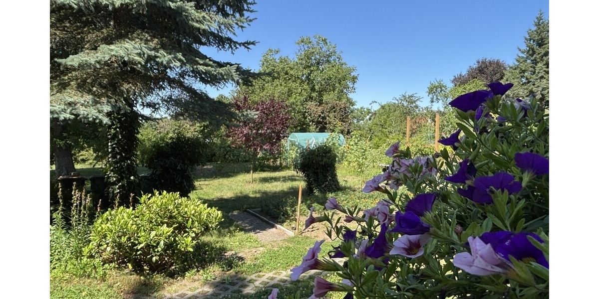 Grünes Paradies für Groß und Klein: Großzügige Doppelhaushälfte in absolut ruhiger Idylle - Doppelhaushälfte Weinböhla | Angebot:27022913