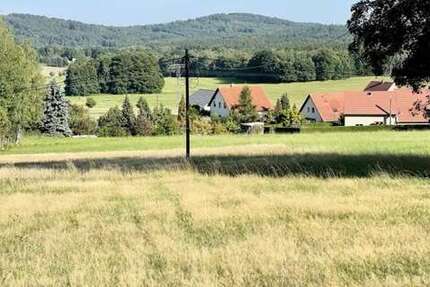 Grundstück zu verkaufen in Steina 168.120 € 1401 m²