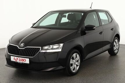 Skoda Fabia 67.164 km 12.990 &euro; Dresden 01069