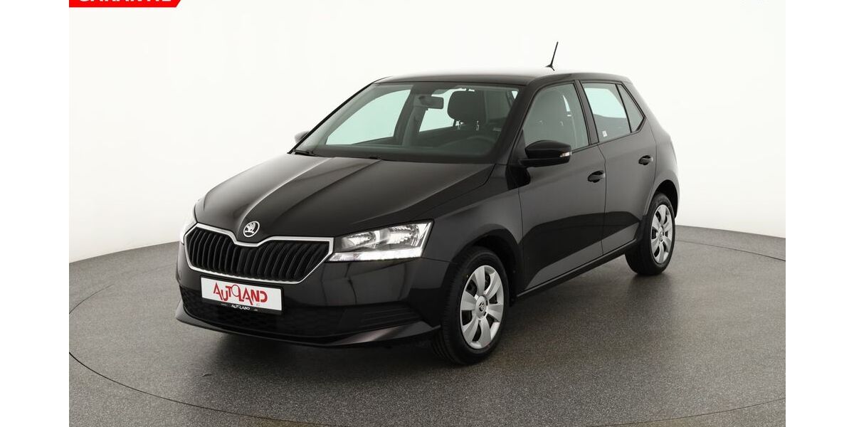 Skoda Fabia 67.164 km 12.990 &euro; Dresden 01069