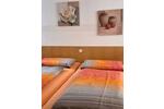 Erdgeschoßwohnung Dresden Blasewitz - 1 Zimmer, 21 m&sup2;, 75&euro; | Angebot:26357413