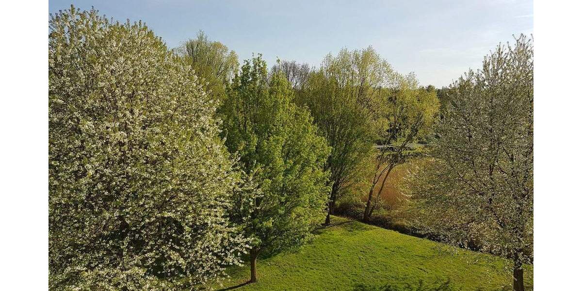 Etagenwohnung Dresden Strehlen - 3 Zimmer, 64 m&sup2;, 450&euro; | Angebot:25299702