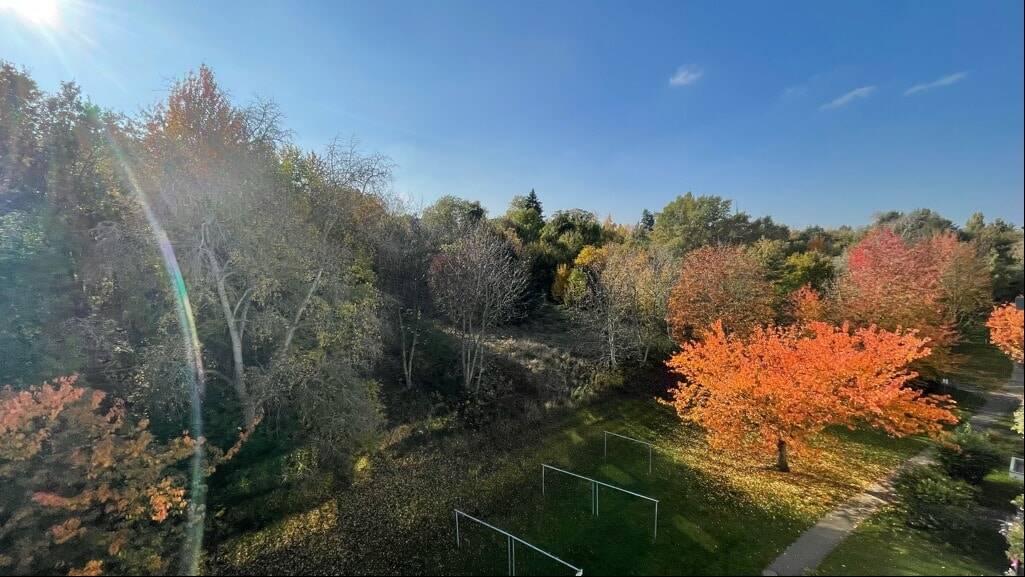 Etagenwohnung Dresden Leubnitz-Neuostra - 3 Zimmer, 62 m&sup2;, 128.000&euro; | Angebot:26247843