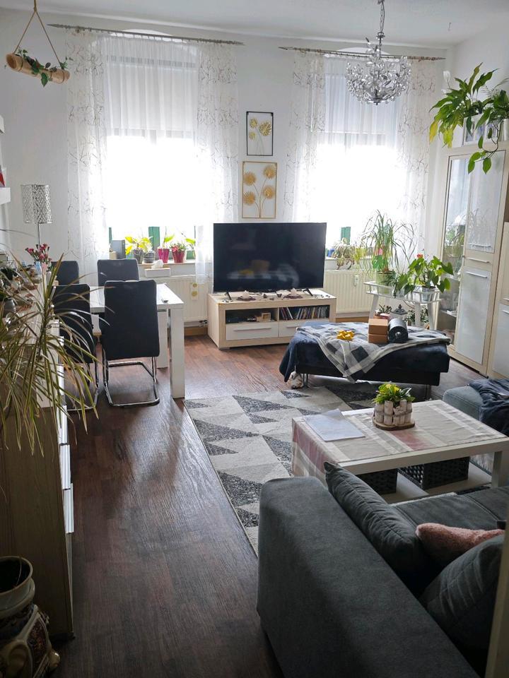 3-RaumWohnung Dresden Pieschen, elbnah , zentral