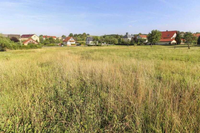 Grundstück zu verkaufen in Glashütte 66.000 € 1000.03 m²