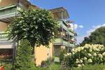 Terrassenwohnung Moritzburg Boxdorf - 4 Zimmer, 240.000&euro; | Angebot:25734573