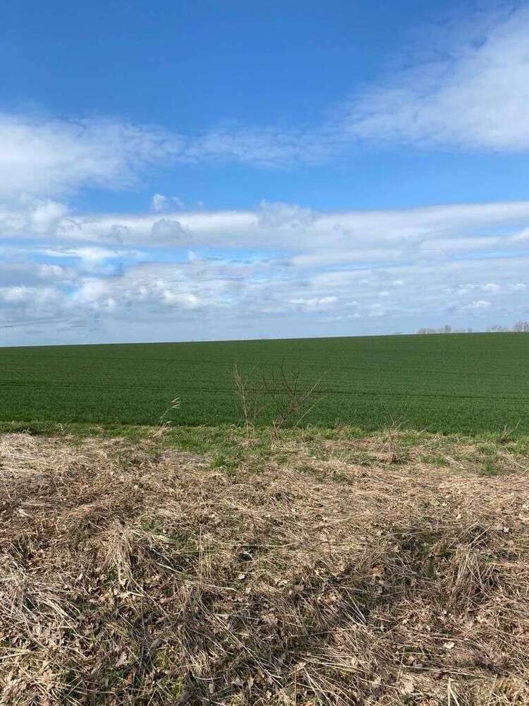 Grundstück zu verkaufen in Lommatzsch 119.000 € 2600 m²