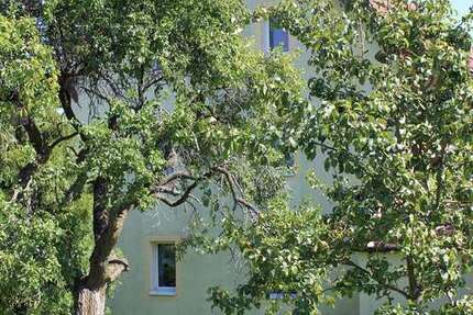 Haus Dippoldiswalde - 6 Zimmer, 190 m&sup2;, 190.000&euro; | Angebot:27508504
