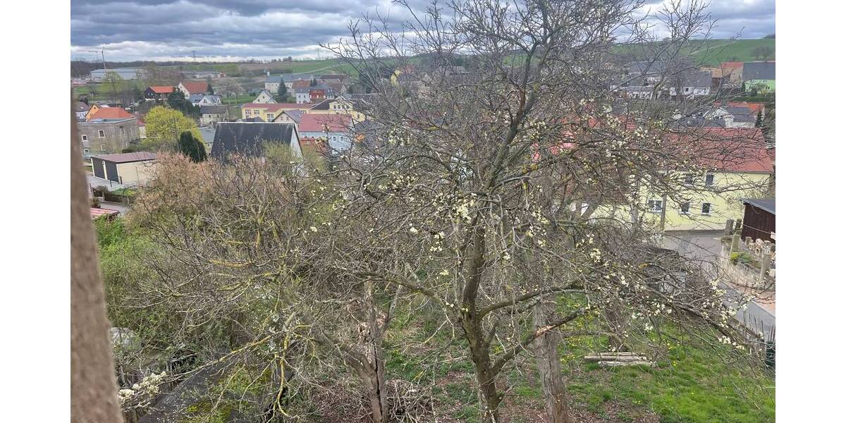 Grundstück Glashütte Reinhardtsgrimma - 59.000&euro; | Angebot:25682252