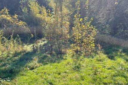 Grundstück Freital Weißig - 85.000&euro; | Angebot:25704804