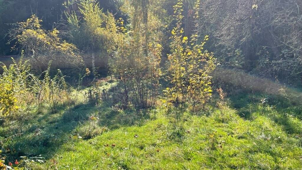 Grundstück Freital Weißig - 85.000&euro; | Angebot:25704804