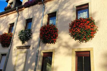 Wohnung Pirna - 2 Zimmer, 40 m&sup2;, 338&euro; | Angebot:25330080