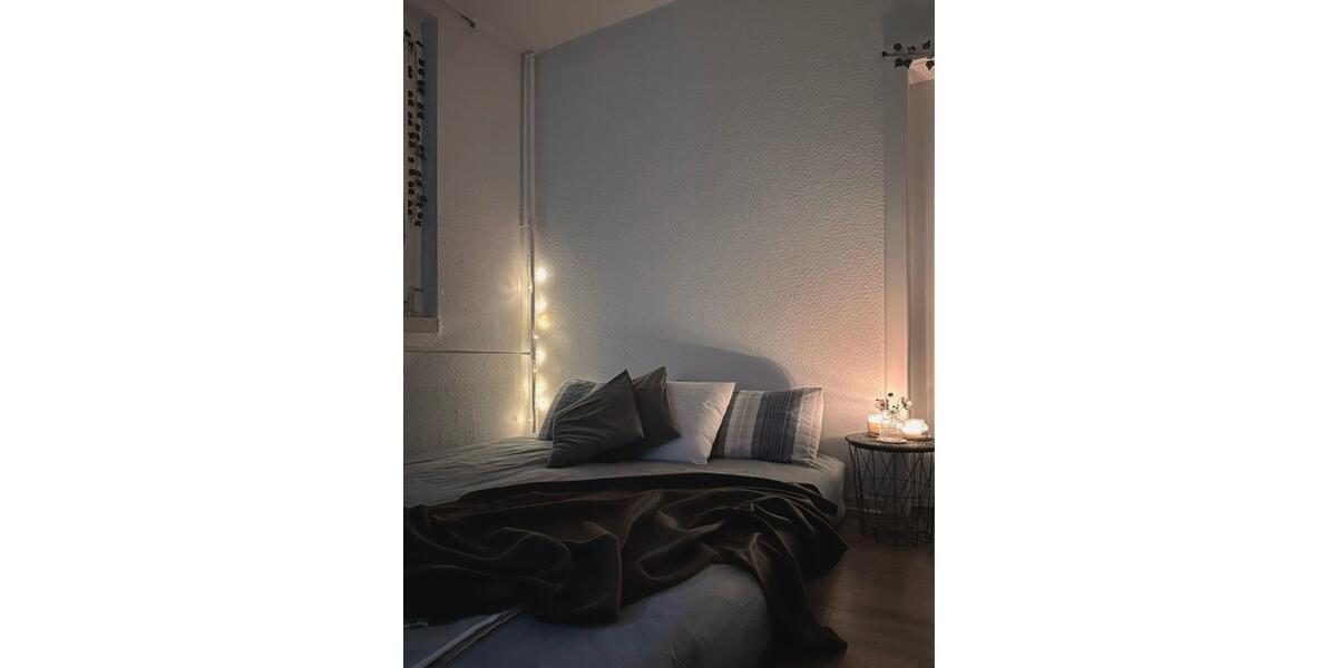 Etagenwohnung Dresden Plauen - 1 Zimmer, 36 m&sup2;, 500&euro; | Angebot:24129740