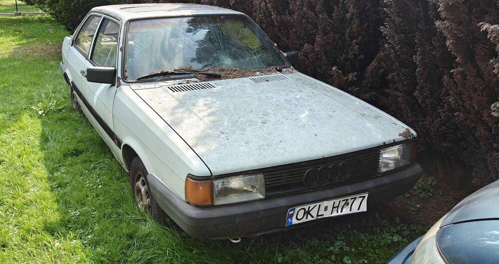 80