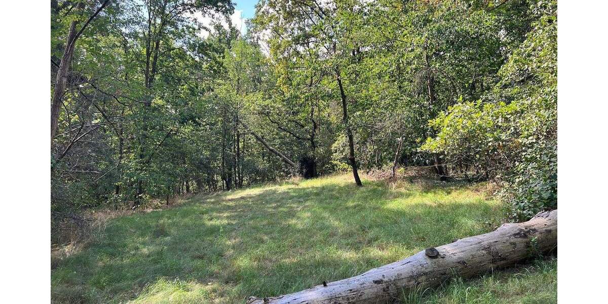 Idyllisches Wald-, Wiesen- und Wohngrundstück in Medingen bei Dresden zimmer