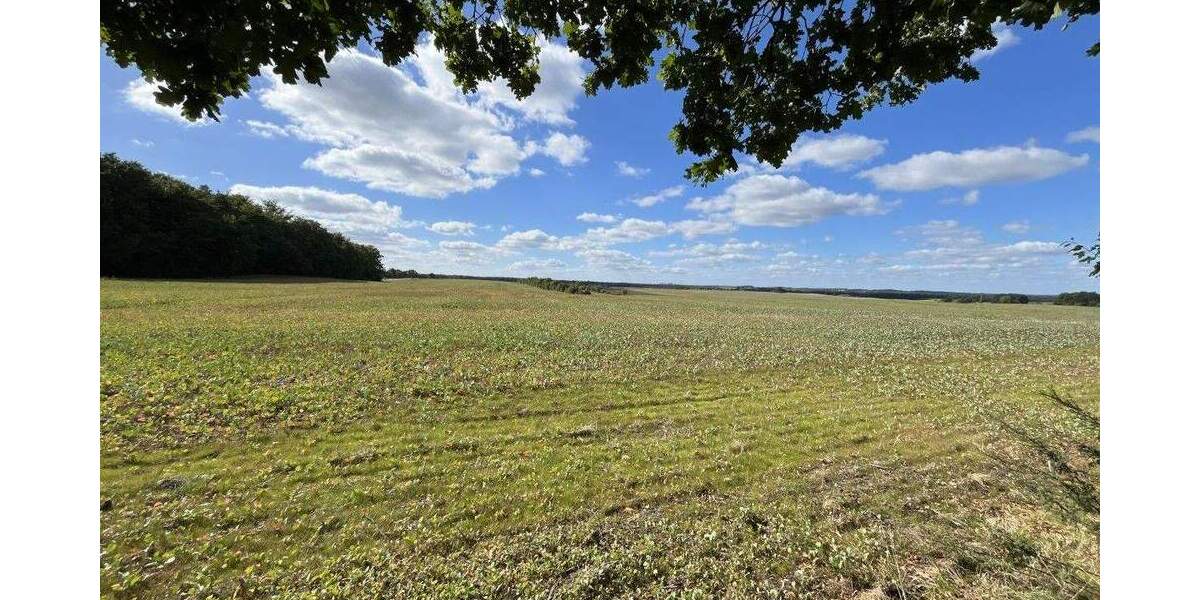 Liegau-Augustusbad: Großes Bauland am Waldrand zimmer