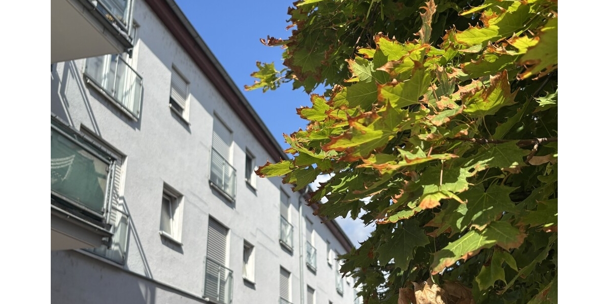 Zentrale Lage mit Potenzial: 2-Zimmer-Eigentumswohnung in Coswig – Ideal für Paare & Kapitalanleger! - Etagenwohnung Coswig | Angebot:27307718