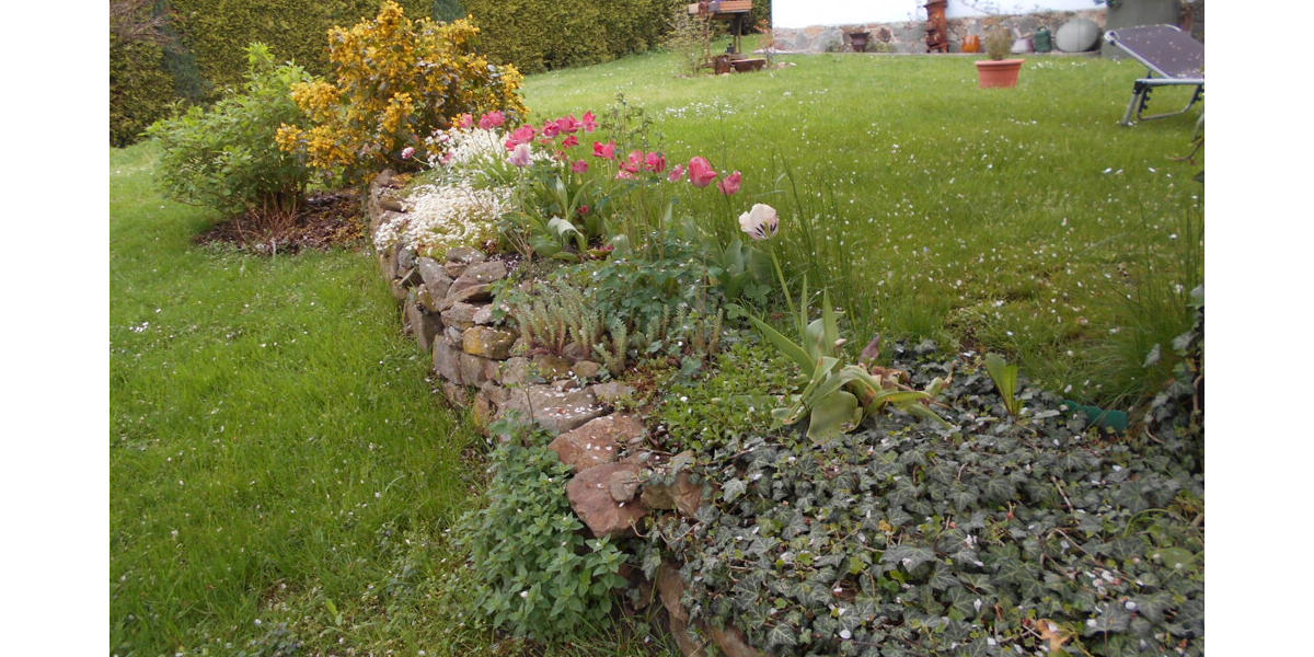 Wohnen? Arbeiten? Beides. In Perfektion! 6 zimmer