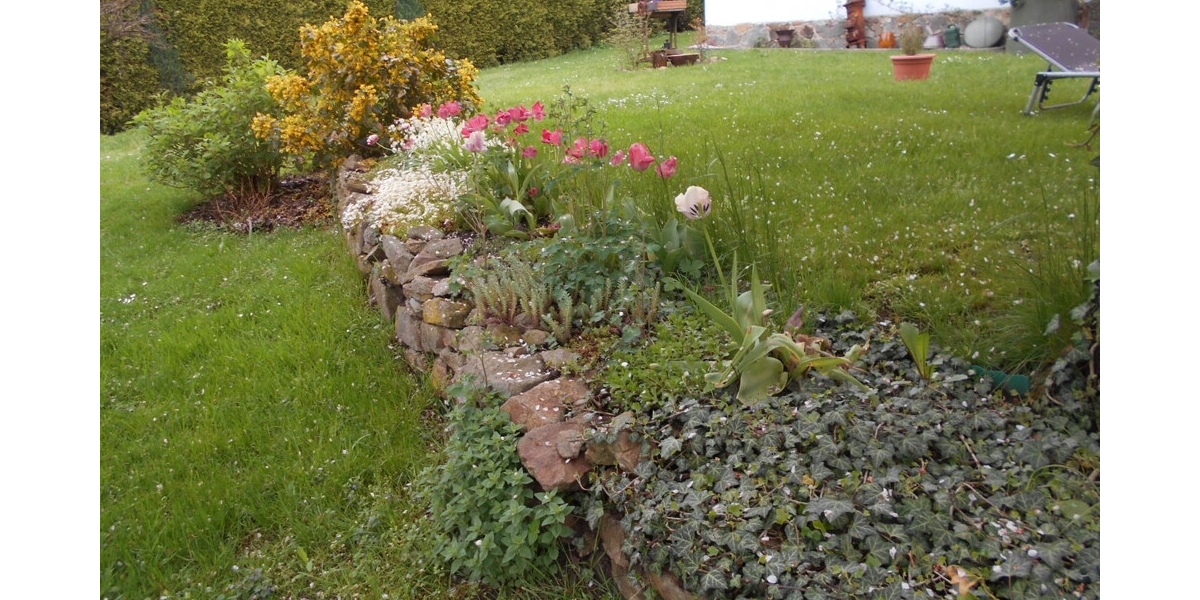 Wohnen? Arbeiten? Beides. In Perfektion! - Einfamilienhaus Dresden Langebrück | Angebot:24337180