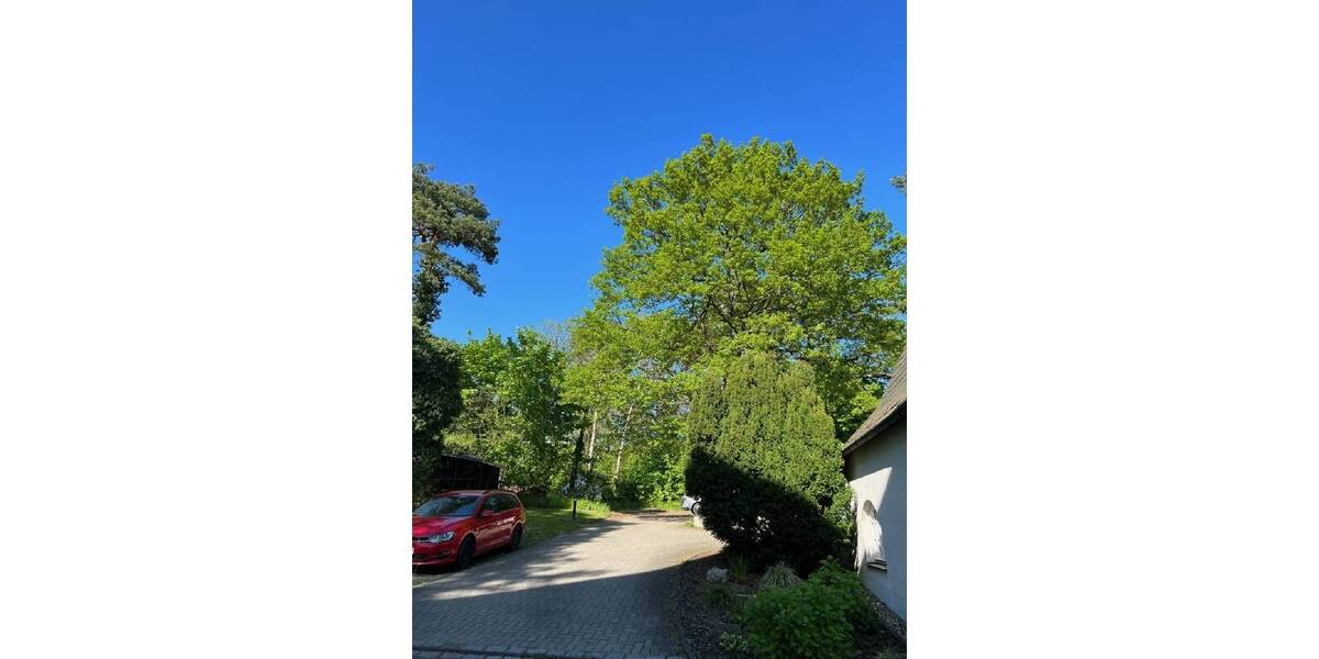 Grundstück Dresden Pieschen-Nord/Trachenberge - 340.000&euro; | Angebot:25663771