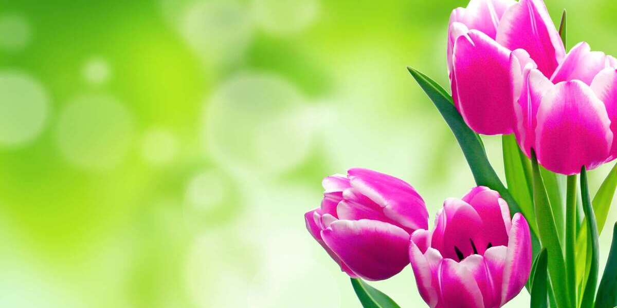 Haus zum Kaufen in Ottendorf-Okrilla 299.500 € 131 m² - Einfamilienhaus Ottendorf-Okrilla Okrilla | Angebot:25804904